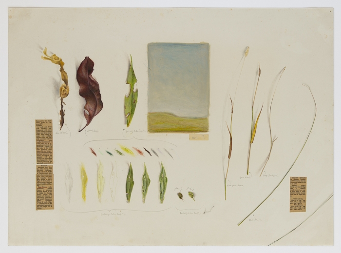 Candy Jernigan, Cape Breton Landscape, n.d., Pencil and collage on paper, Image: 19 x 26 inches (48.3 x 66 cm), Frame: 23 x 29 7/8 x 1 1/2 inches (58.4 x 75.9 x 3.8 cm)