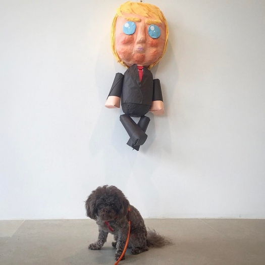 Rachel Harrison, Installation view, More News: A Situation, Greene Naftali, New York, 2016
