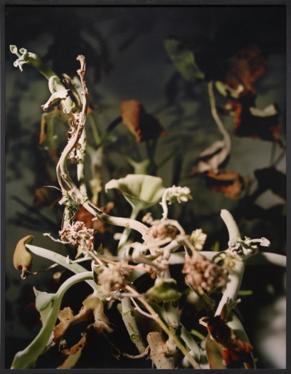 The relationship between physical and mental experiences; physical perception and comprehension; and their influence on what penetrates through to our brains and vice versa: these are all issues that appeal to Joachim Koester. Certain areas of the brain are stimulated, while by contrast others are powered down. Which parts of our brain do we use? Can new experiences, can a work of art, produce new stimuli for areas of the brain, but also parts of the body, that are seldom activated?, 