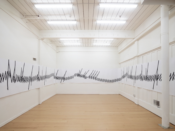 Lutz Bacher, Installation view, 3320 18th St., San Francisco, 2017