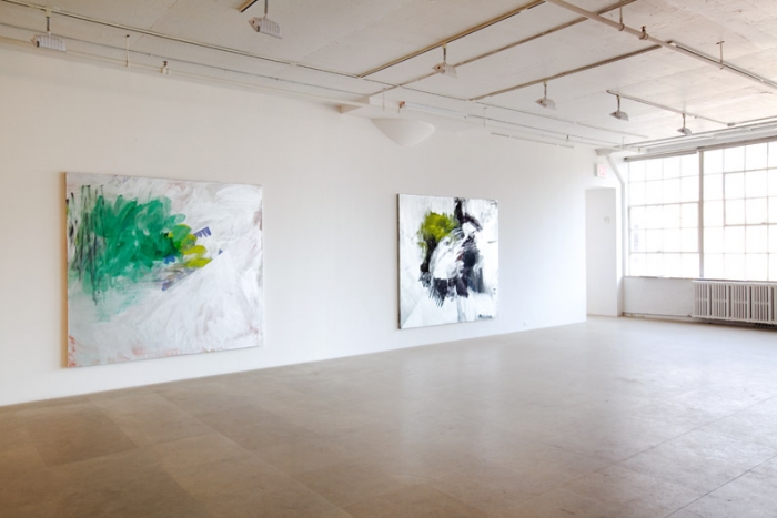 Installation view, Greene Naftali, New York, 2009