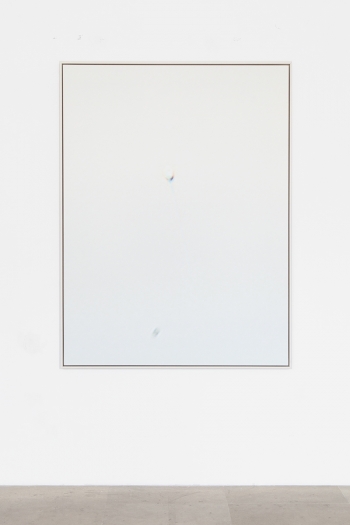 Carissa Rodriguez Yesterday I tried to paint you (Untitled VI), 2012 Inkjet print mounted on aluminum, custom maple frame; monthly cryogenic storage fee for donated sperm, legal contract between donor and artist 63 x 47 1/4 inches (160 x 120 cm)