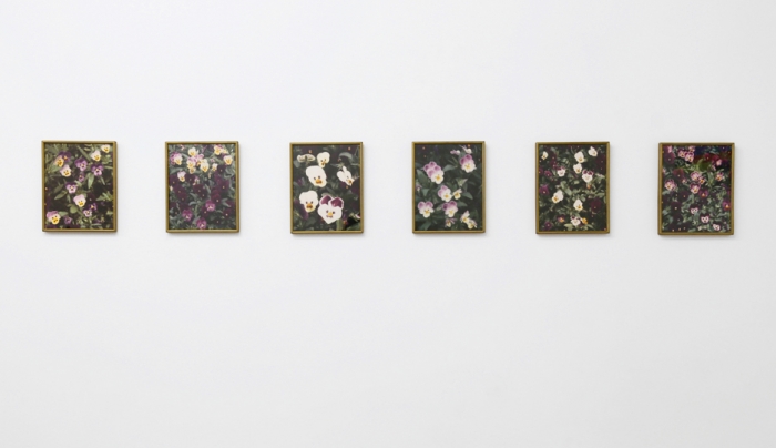 Daan van Golden New Delhi, 1991 Series of 6 photos 6 Photos 12 1/4 x 9 7/8 inches (31.1 x 25.1 cm) each