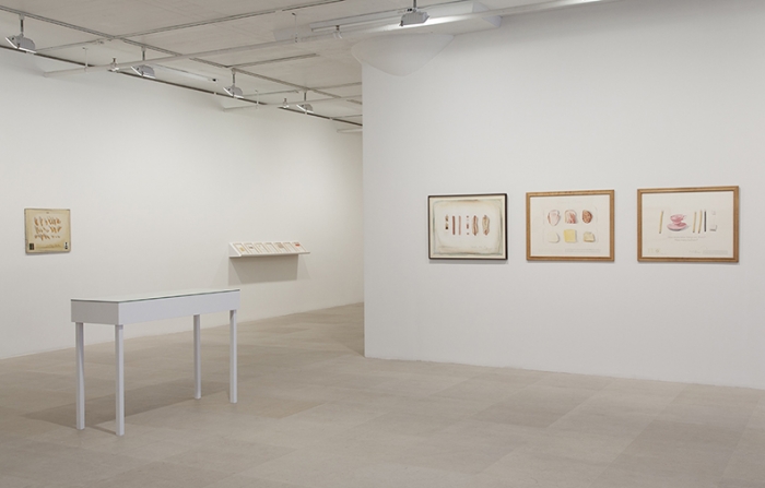 Candy Jernigan, Installation view, Greene Naftali, New York, 2014