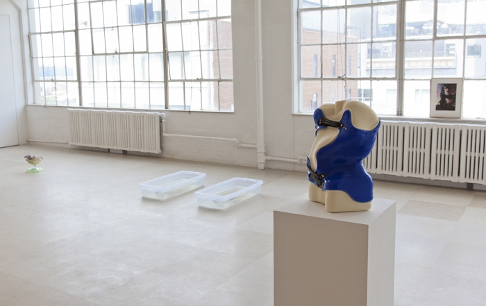 Installation view, EXO EMO, Greene Naftali, New York, 2017