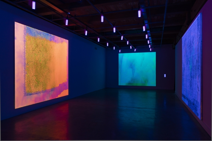 Jacqueline Humphries, Installation view, âContemporary Arts Center New Orleans, 2015