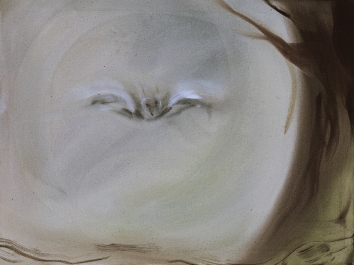 Sophie von Hellermann Owl, 2018 Acrylic on canvas 24 x 32 inches (61 x 81.3 cm)