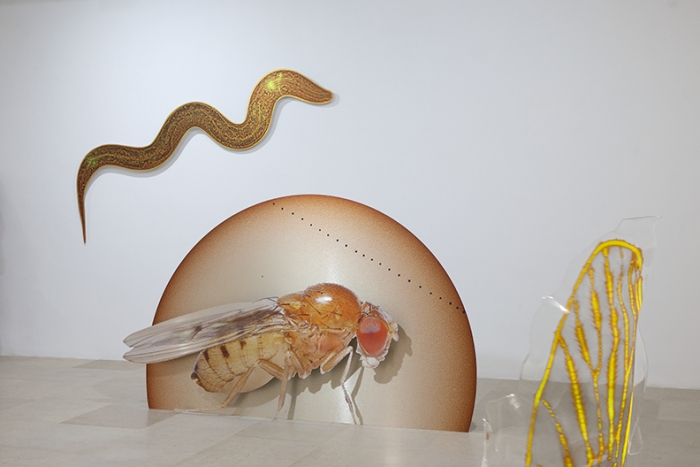 Katja Novitskova, Installation view, Approximation (Storm Time), Greene Naftali, New York, 2016