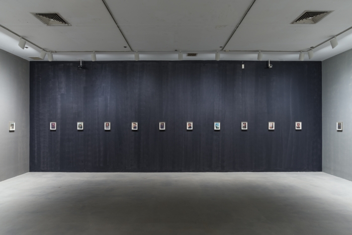 Lutz Bacher, Installation View, The Long March, 80WSE, New York, 2018 