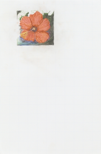 Mayo Thompson Hibiscus, 2015 Colored pencil on paper Paper: 17 x 11 inches (43.2 x 27.9 cm) Frame: 19 15/16 x 13 15/16 inches (50.6 x 35.4 cm)