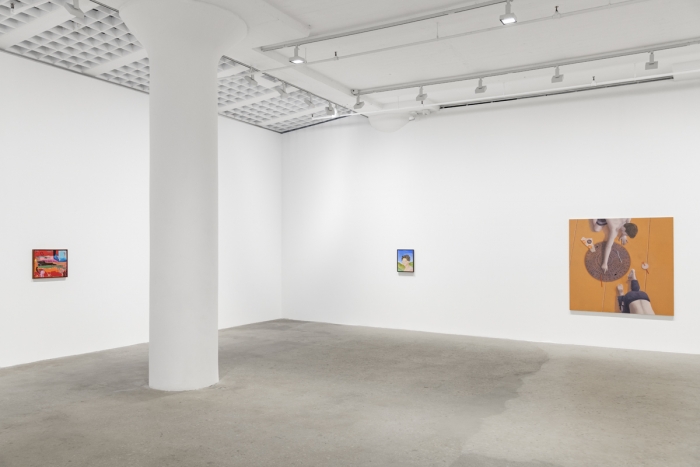 Techniques of the Observer, Installation view, Greene Naftali, New York