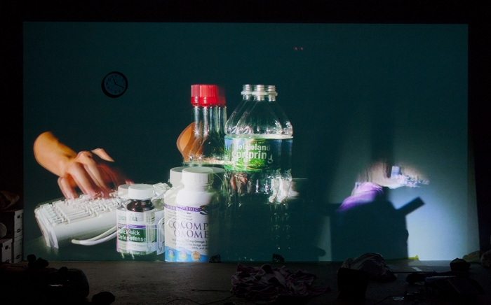 Trisha Baga, Installation view, Mollusca & The Pelvic Floor, 2018