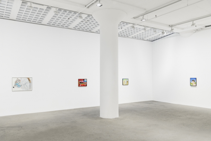 Installation view, Walter Price, Techniques of the Observer, Greene Naftali, New York, 2019 