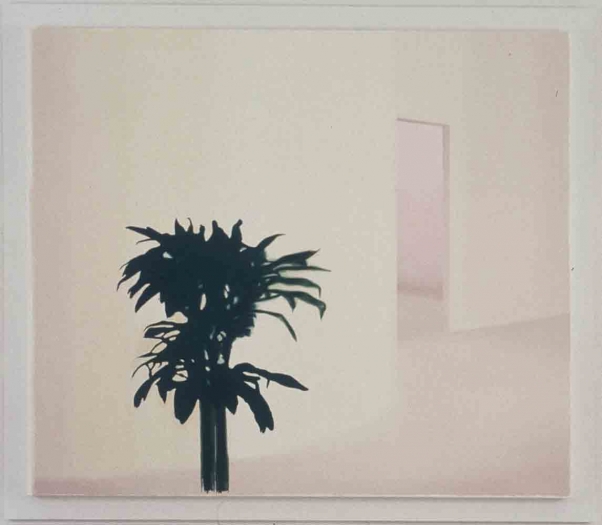 Installation view, MODEL, Greene Naftali, New York, 1996
