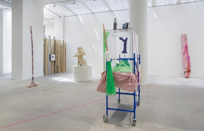 Rachel Harrison, Installation view, Prasine, Greene Naftali, New York, 2017