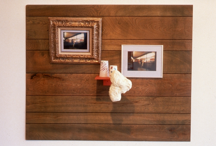 Rachel Harrison, Waterworld, 1996, Mixed media, 48 x 58 x 9 1/2 inches