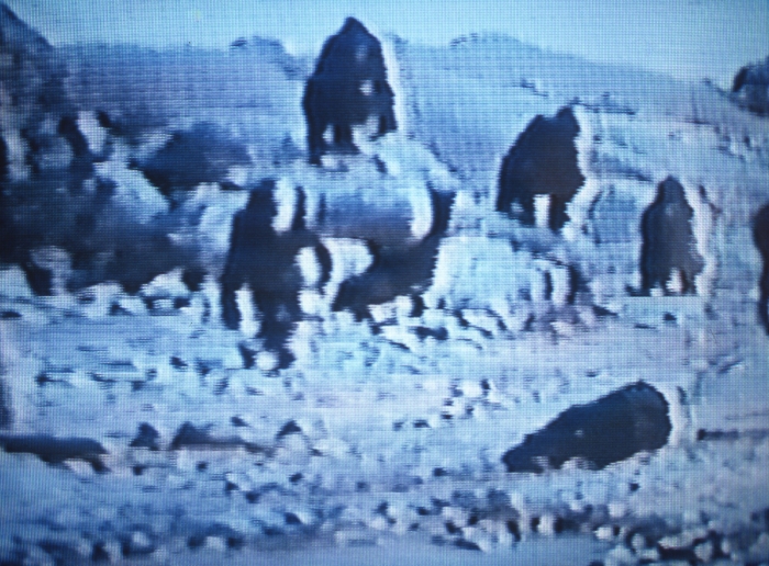 Yvette Brackman, Camp, 1998 VHS, 12 minutes