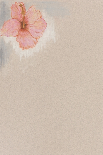 Mayo Thompson, Hibiscus, 2015