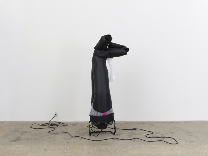 Paul Chan, Phenus 1, 2019