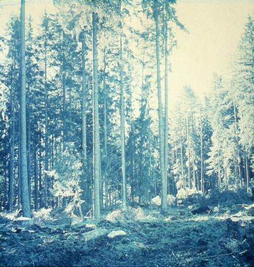 Bas Jan Ader, Untitled (Sweden), 1971, color slide, 6 x 6 cm