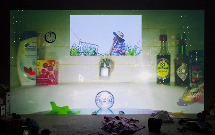 Trisha Baga, Installation view, Mollusca & The Pelvic Floor, 2018