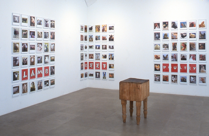 Installation view, Go Vegan!, Greene Naftali, New York, 2002