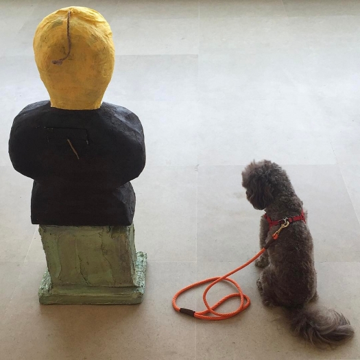 Rachel Harrison, Installation view, More News: A Situation, Greene Naftali, New York, 2016