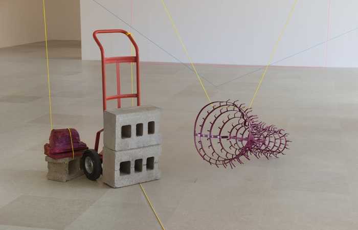 Rachel Harrison, Installation view, More News: A Situation, Greene Naftali, New York, 2016
