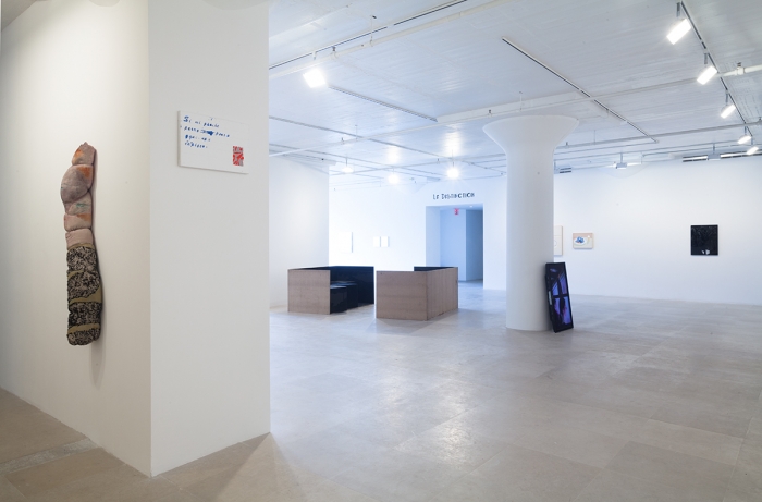 Installation view, FREAK OUT, Greene Naftali, New York, 2013