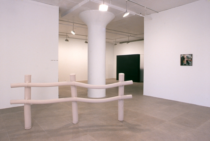 Installation view, Deliberate Living, Greene Naftali, New York, 2001