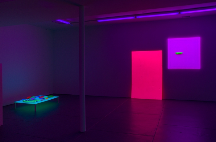 Jacqueline Humphries, Installation view, the Dan Flavin Art Institute, Bridgehampton, New York. 