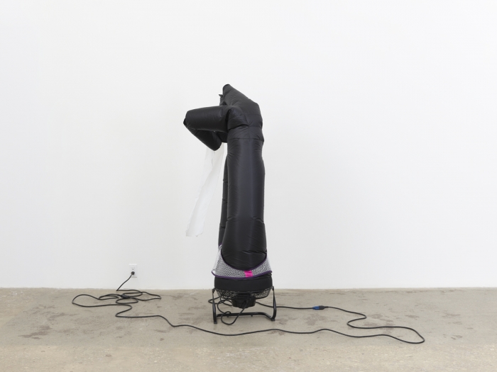 Paul Chan, Phenus 1, 2019