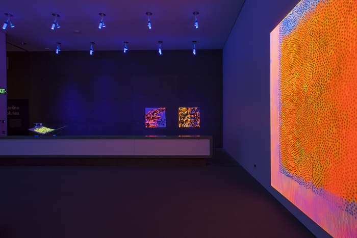 Jacqueline Humphries, Installation view, Jacqueline Humphries at the Carnegie Museum of Art, Pittsburgh, 2015