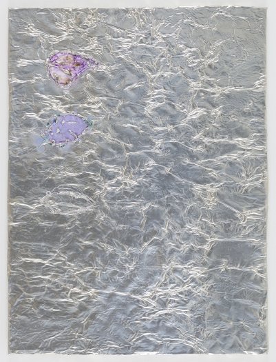Josef Strau Inexperience, 2018