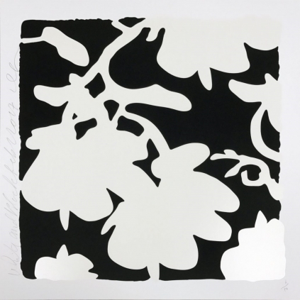 Lantern Flowers (White and Black)