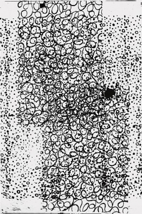 Christopher Wool Double Booty Party, 1999