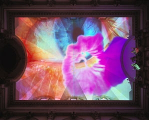 Pipilotti Rist , Homo Sapiens Sapiens, 2005