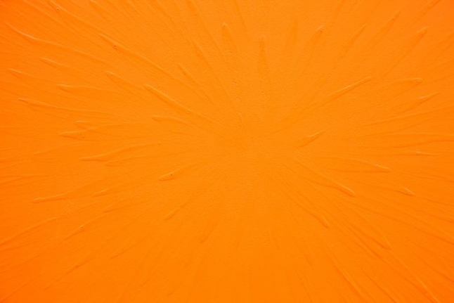 Tom Friedman Bloom, 2014