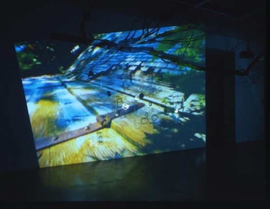 Pipilotti Rist Herbstzeitlose (Saffron Flower or Fall Time Less), 2004