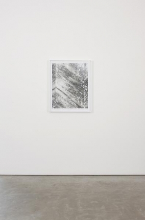 Luisa Lambri Certain Variables
