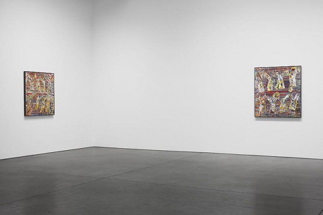 William Daniels Installation view