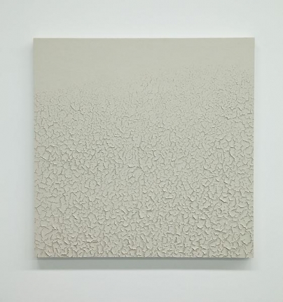 Tom Friedman Light Gray Mudscape, 2014