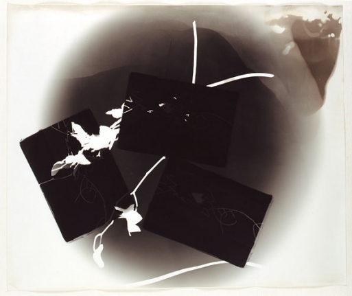 Amy Granat Interflowerzone (Hello Cowgirl) #1, 2007