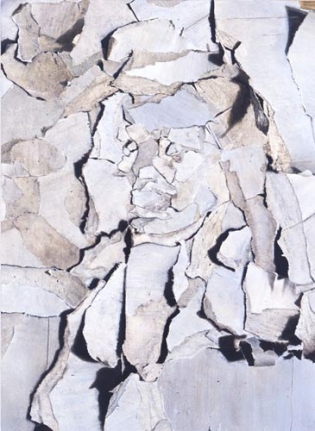 William Daniels Goya, 2006