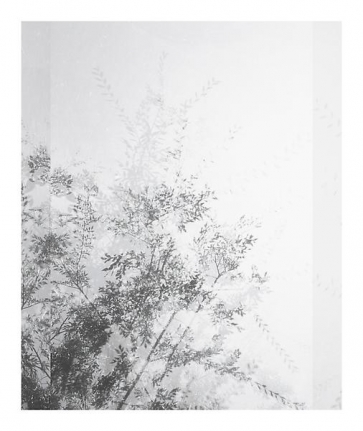 Luisa Lambri Untitled (Sheats-Goldstein House, #18), 2007