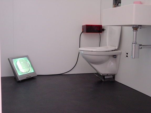Pipilotti Rist Closet Circuit, 2000