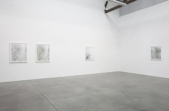 Luisa Lambri Certain Variables
