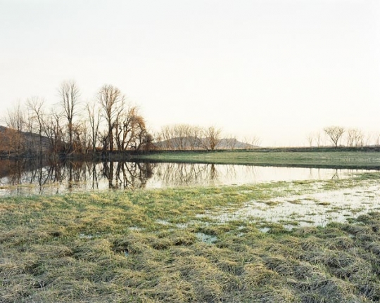 Joel Sternfeld April 20, 2007, The East Meadows, Northampton, Massachusetts