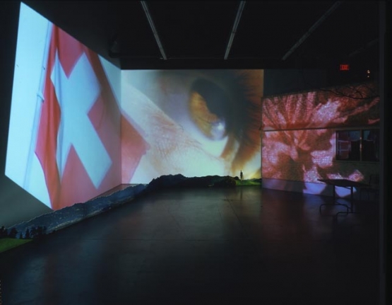 Pipilotti Rist Herbstzeitlose (Saffron Flower or Fall Time Less), 2004