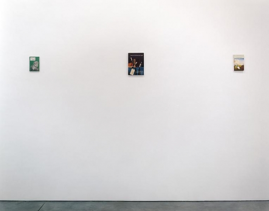 Steve Wolfe Installation view